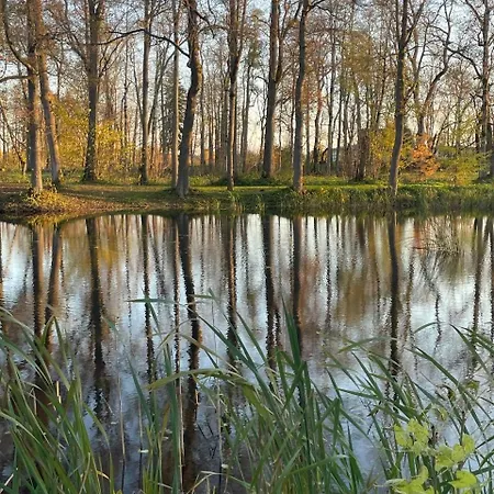 Ueksik Rueuetel